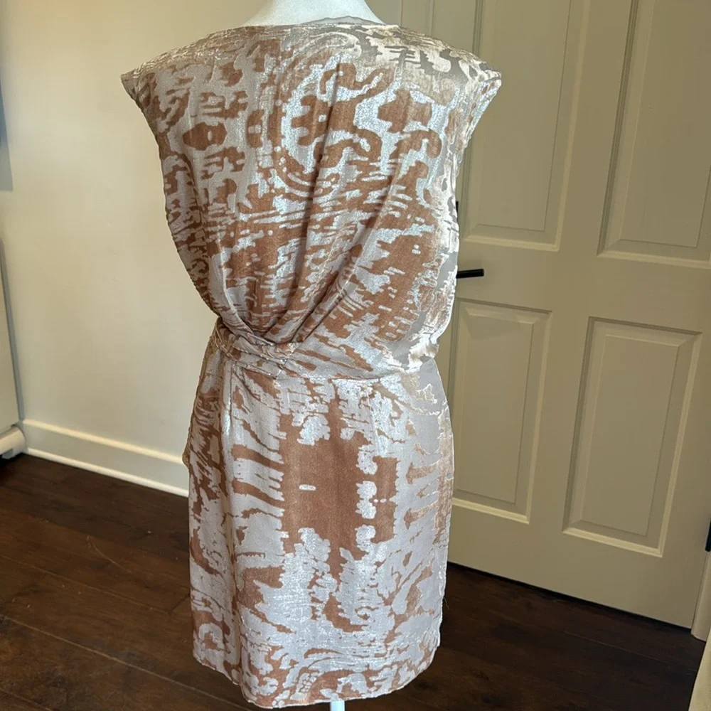 Cynthia Steffe - Josie Burnout Blush & Champagne Gold Metallic Dress - Size: 2 - Picture 5 of 9